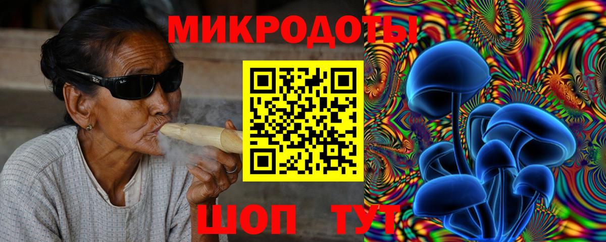 Псилоцибиновые грибы Psilocybine cubensis Кохма