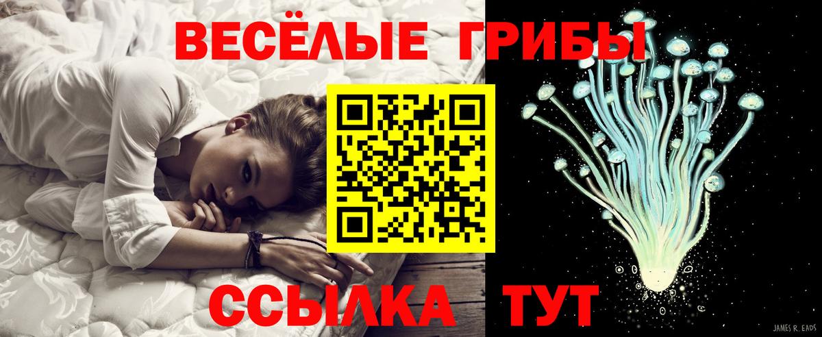 Псилоцибиновые грибы GOLDEN TEACHER  Вход с VPN  Кохма 